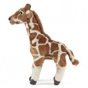 Giraffe Medium