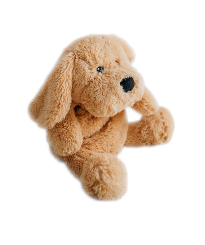 Charlie the Weighted Puppy Dog Toy
