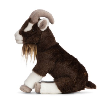 Brown Goat Sitting
