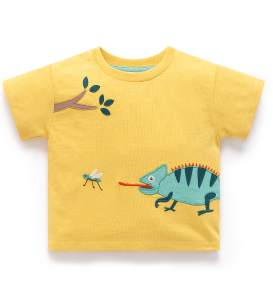 Chameleon Relaxed Tee