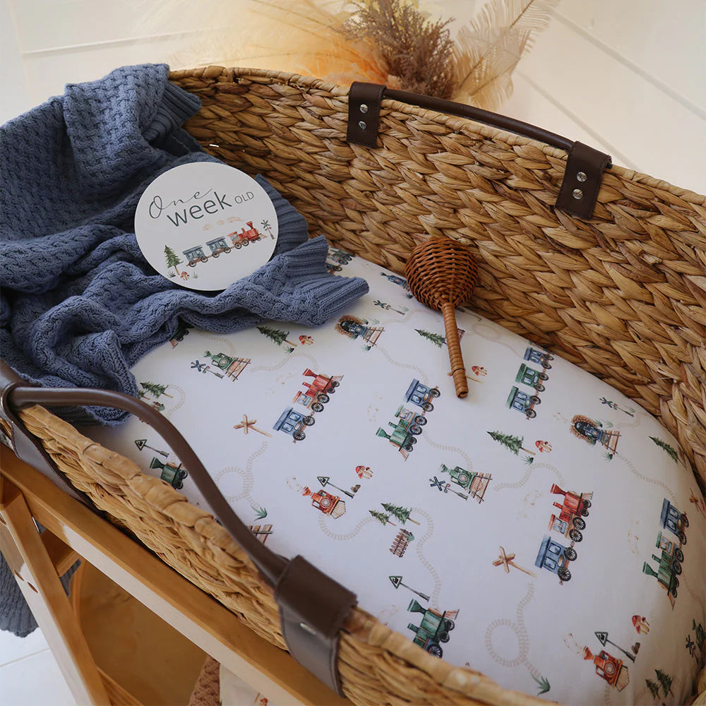 Trains Organic Bassinet Sheet