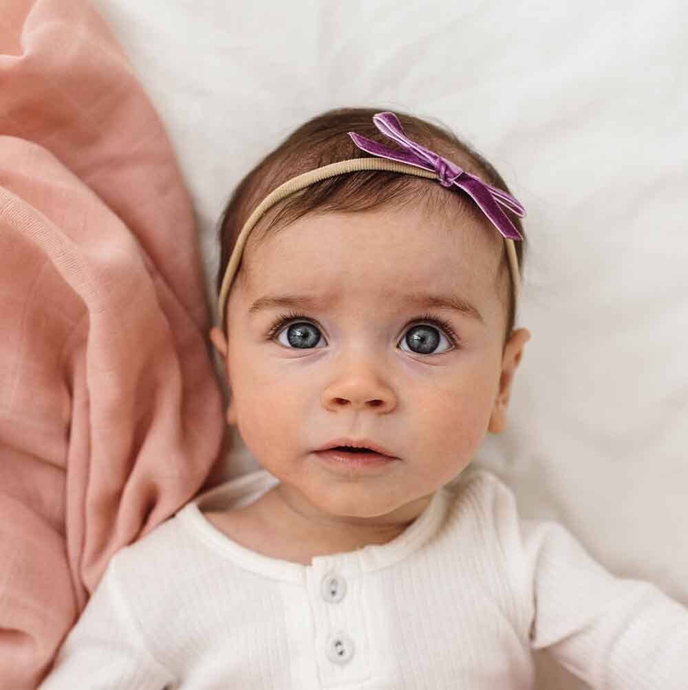 Grape Velvet Bow