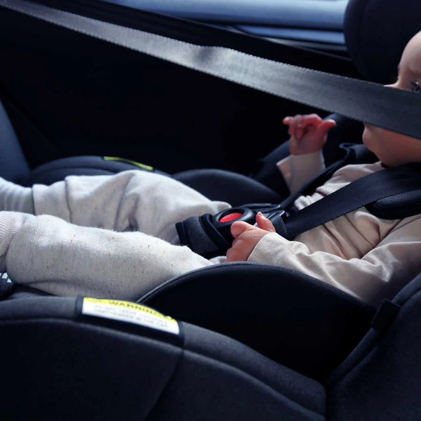 InfaSecure Momentum Go Convertible Car Seat -BLACK FLECK-ISOFix