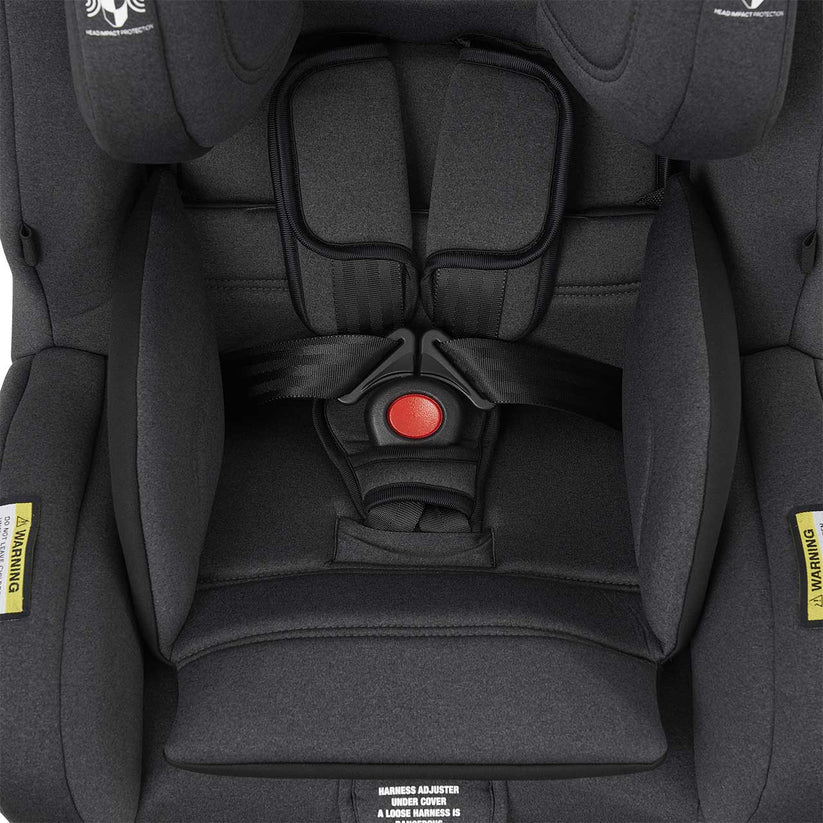 InfaSecure Momentum Go Convertible Car Seat -BLACK FLECK-ISOFix