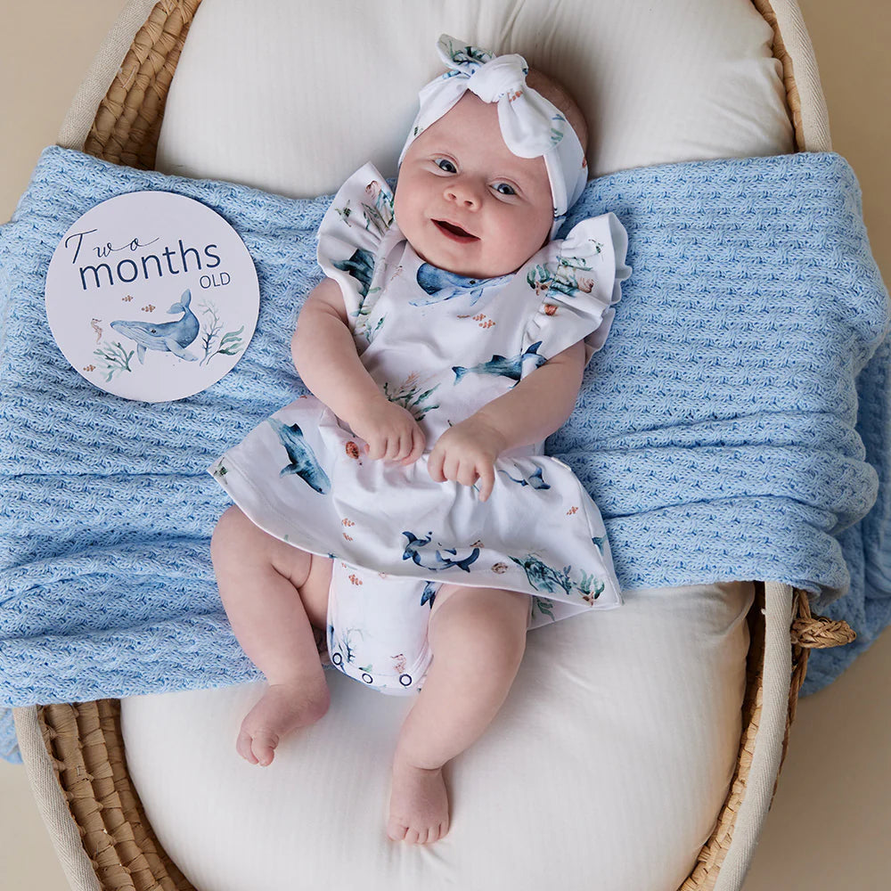 Ocean and Indigo Reversible Milestone Cards