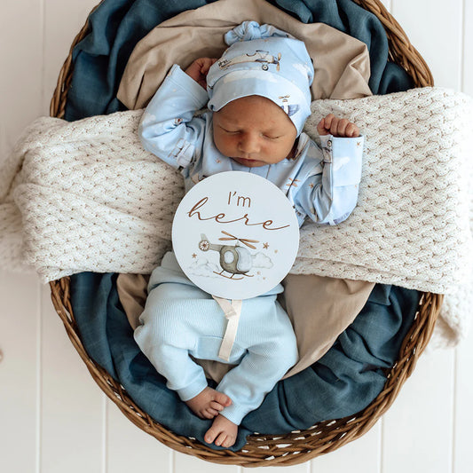 Taking Flight and Pebble Reversible Milestone Cards