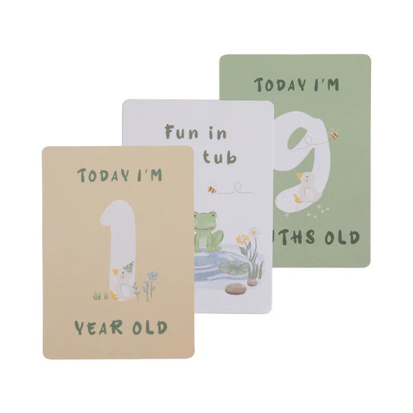 Milestone Cards- Goosey Goosey