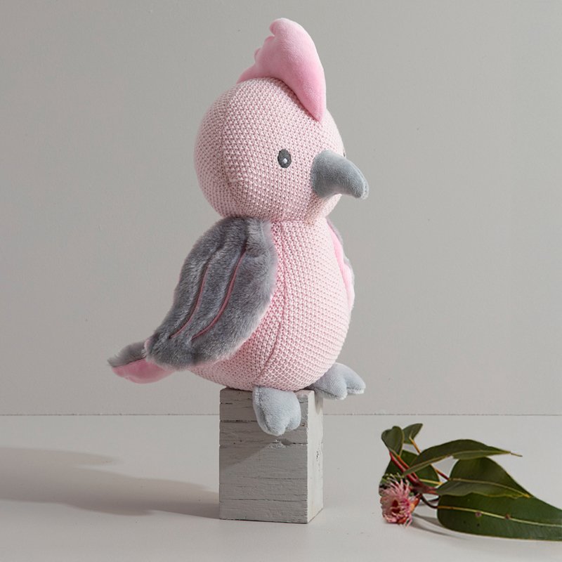 Gary the Galah