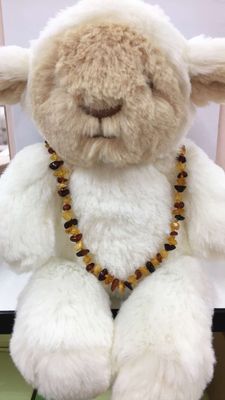 Baltic Amber Teething Necklace