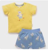 Seagull Set