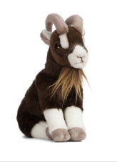 Brown Goat Sitting