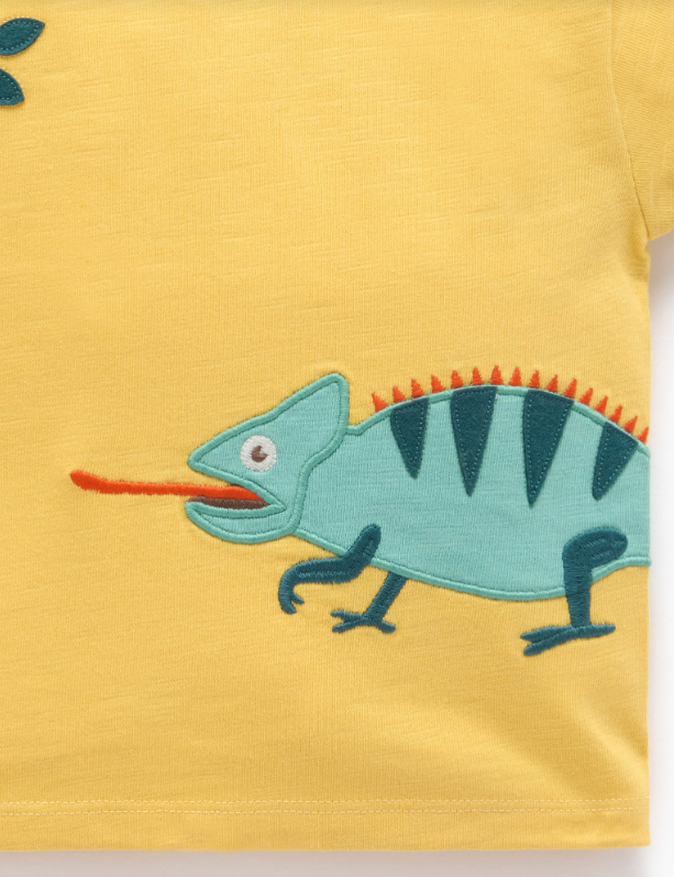 Chameleon Relaxed Tee