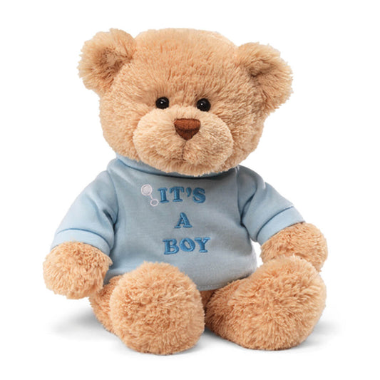 MESSAGE BEAR: IT'S A BOY - BLUE