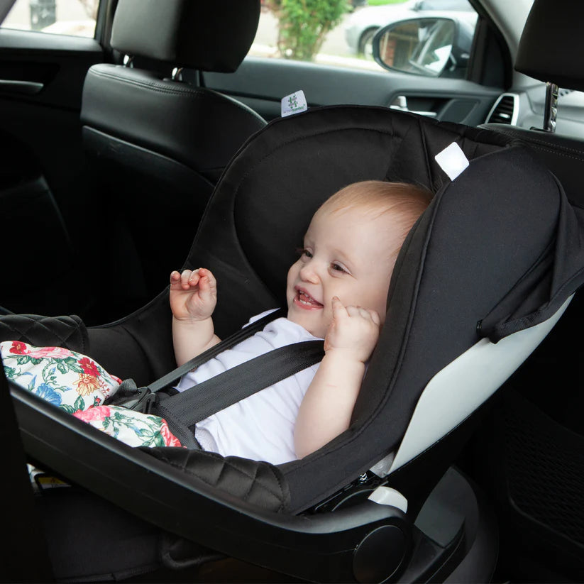 ISOFix InfaSecure Adapt More Capsule